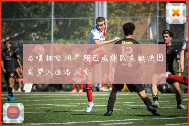 名嘴称哈珀早期已成球队关键拼图有望入选名人堂